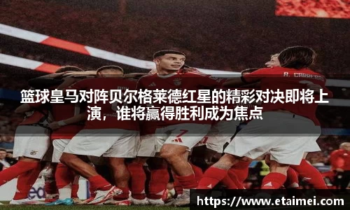 篮球皇马对阵贝尔格莱德红星的精彩对决即将上演，谁将赢得胜利成为焦点