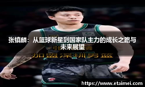 张镇麟：从篮球新星到国家队主力的成长之路与未来展望