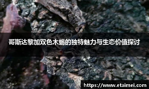 江南体育
