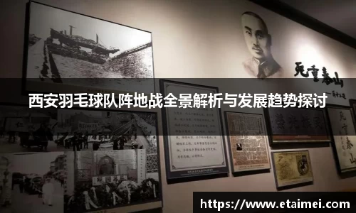 西安羽毛球队阵地战全景解析与发展趋势探讨